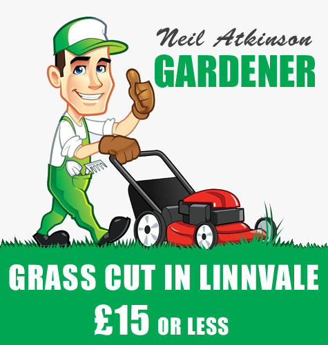 Neil Atkinson Gardener