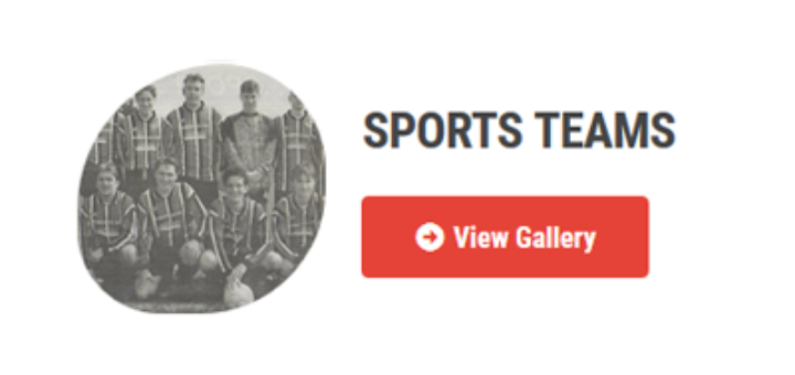 Sports Teams